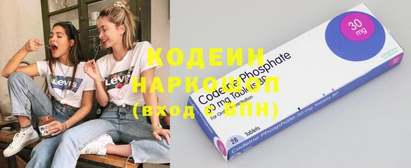 хмурый Ладушкин