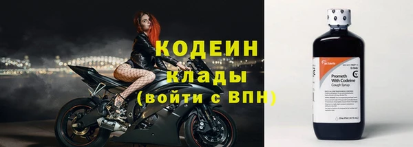 хмурый Ладушкин
