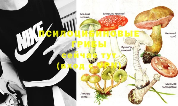 хмурый Ладушкин