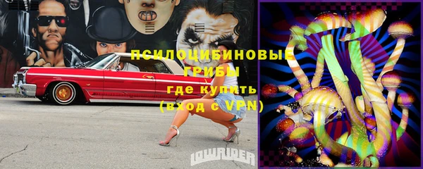 мяу мяу мука Лабытнанги
