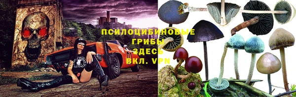 хмурый Ладушкин