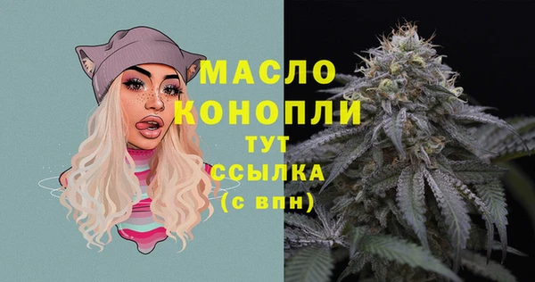 хмурый Ладушкин