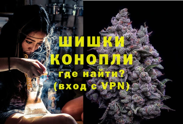 хмурый Ладушкин