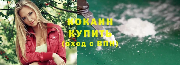 хмурый Ладушкин