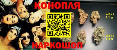 mdpv Кандалакша