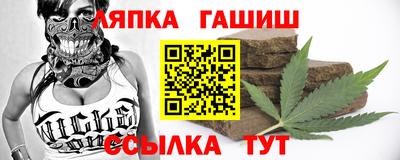 индика Сланцы