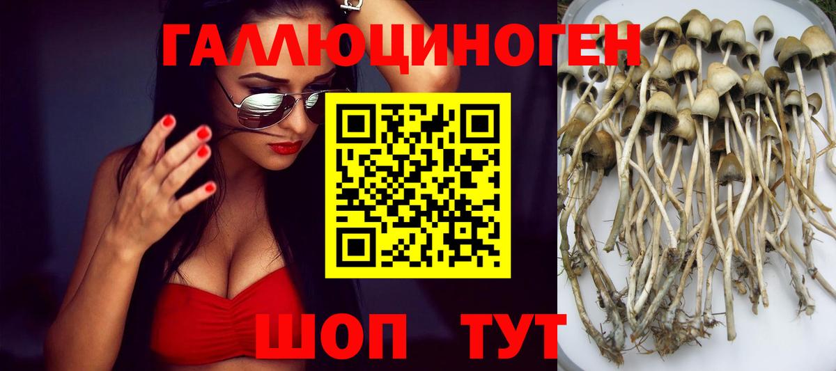 Галлюциногенные грибы GOLDEN TEACHER  Вход с VPN  закладка  Галлюциногенные грибы прущие грибы  Михайловка 