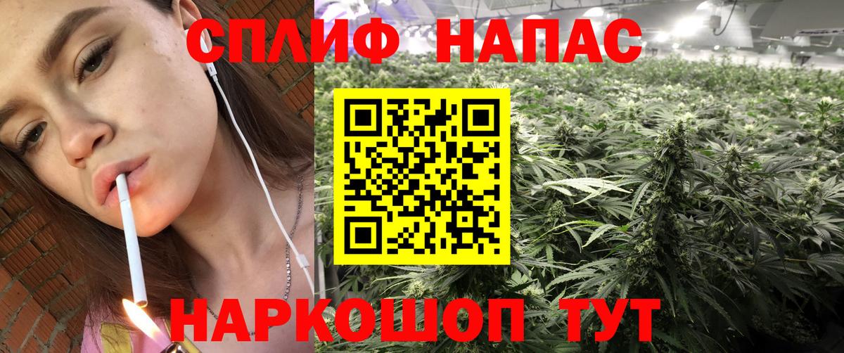 Конопля марихуана Михайловка
